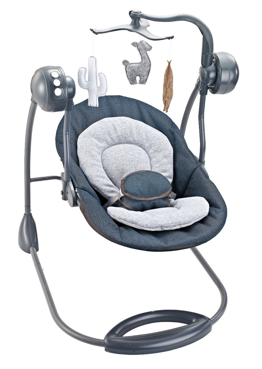 Cactus Portable Swing