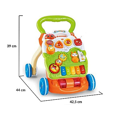 Musical Baby Walker & Activity Center