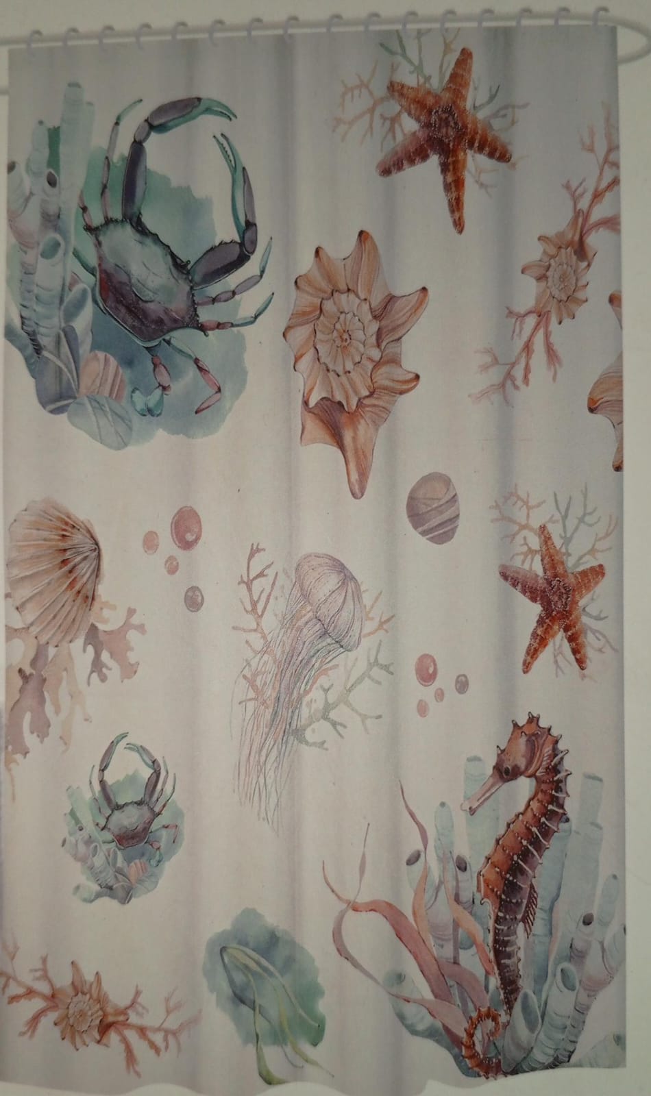 Bathroom Curtain