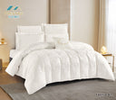 Larissa Comforter Set - 7 Pieces