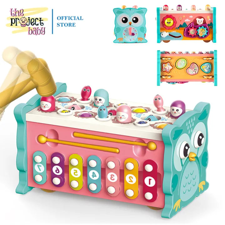 Owl Discovery Station Toy