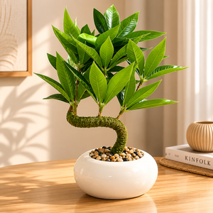 Zen Curve Artificial Plant